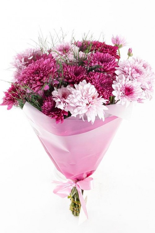 Mor Buket Kağıdında Renkli Krizantemler Çiçekler