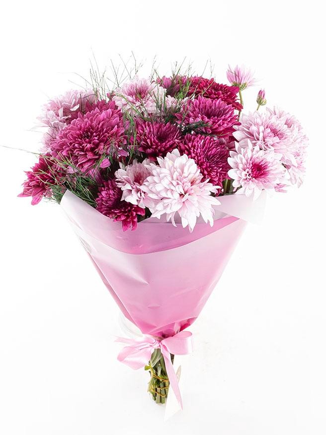 Mor Buket Kağıdında Renkli Krizantemler Çiçekler