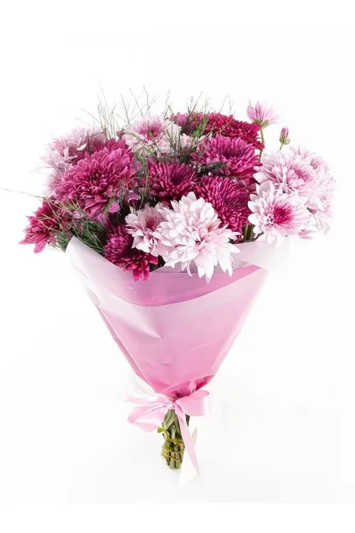 Mor Buket Kağıdında Renkli Krizantemler Çiçekler